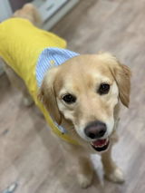 kelsey review photo