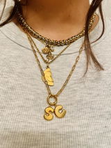 Siera review photo