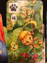 Alison review photo