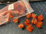 Bryan A. review photo