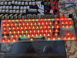 Tyler McKinley review photo