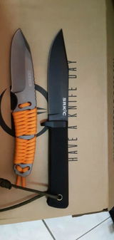GFORCE review photo