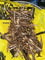 Recent customer review photo