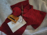 EMILY V Veloz review photo