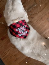 Meg from Sweet Scruff review photo