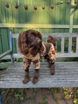 Jackie Peters review photo