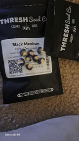 Humberto Sanchez review photo
