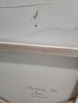 Ross Lindeman review photo