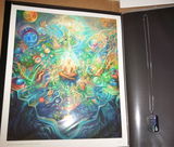 Matthew Morikawa review photo