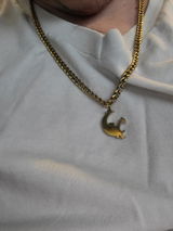 Matt M. review photo