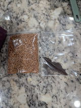 AK review photo