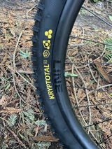 Darius D. review photo