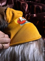 Pluto review photo