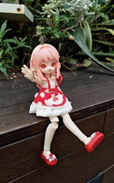 Bobbi review photo