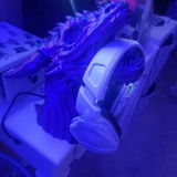 Trinity review photo