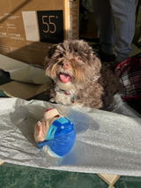 Sofi review photo