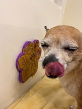 Michael H. review photo