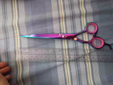 Peter S. review photo