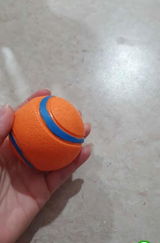 Stefan P. review photo