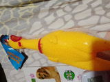 Marko S. review photo