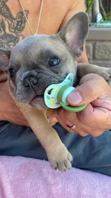 Heimo K. review photo