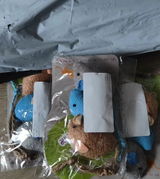 Marko S. review photo