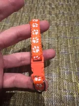 Marko P. review photo