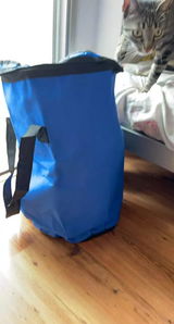 Thomas P. review photo