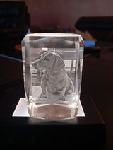 Bernd Z. review photo