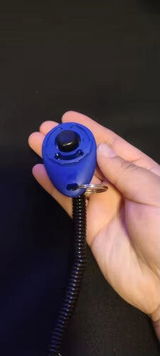 Valentina S. review photo