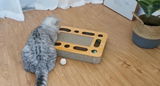 Thomas R. review photo