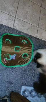 Thomas S. review photo