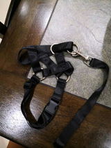 Marko J. review photo