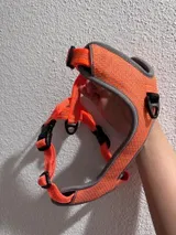 Marko H. review photo