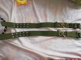 Michael P. review photo