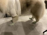 Horst N. review photo