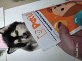 Sabrina L. review photo