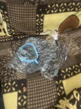 Luis Z. review photo