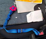 Elena R. review photo
