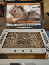 Britta O. review photo