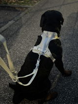 Hundegeschirr Set – inkl. Leine & Beutelhalter