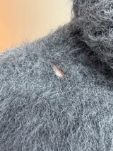 Sascha review photo