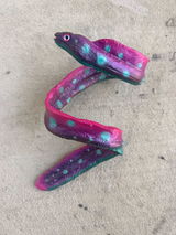 pheonix cowdrey review photo