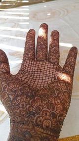 Nassouria S. review photo