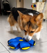 Nitya review photo