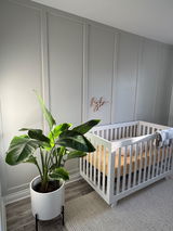 Michelle Bossi review photo