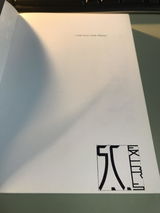 stefano carlini review photo