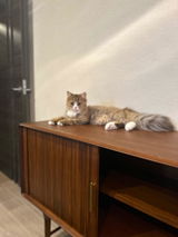nyami review photo