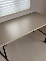 STM review photo