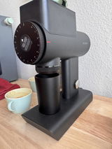 Seneida Biendarra review photo